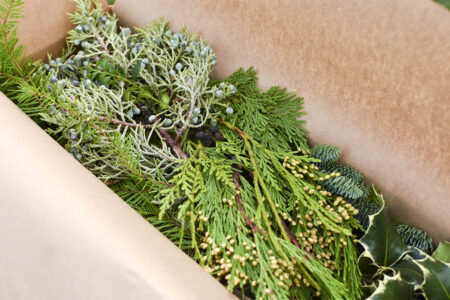 Gift box of mixed fresh Christmas greenery