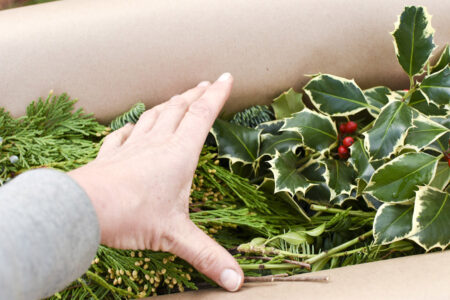 Gift box of mixed fresh Christmas greenery