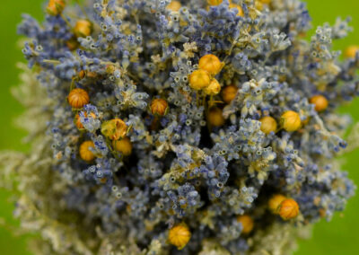 Arrangement with English lavender