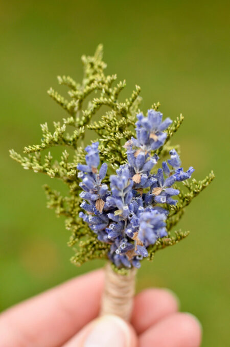 Boutonniere with English lavender