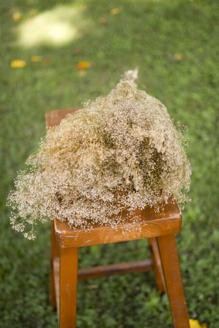 Bunch of preserved natural baby's breath (gypsophilia)