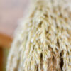 Bunch of preserved natural (ivory) plume reed