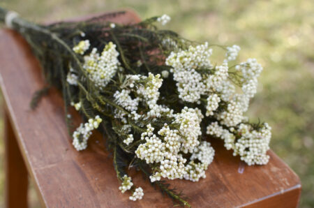 Bunch of preserved white rice flower