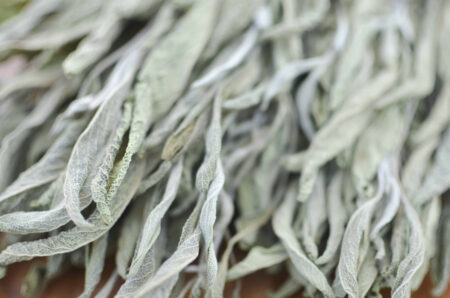 Bunch of dried sage