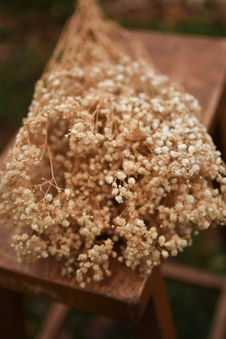 Bunch of preserved natural double baby's breath