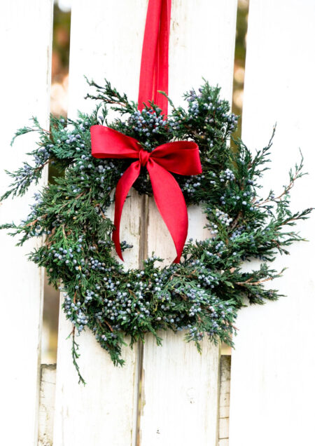 Preserved juniper wreath with ribbon