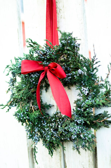 Preserved juniper wreath with ribbon