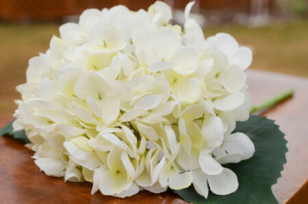 White silk faux hydrangea stem