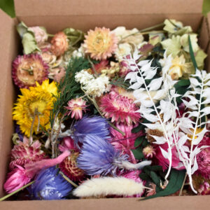 Box of mixed dried-flower blooms