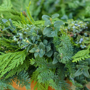 Mixed fresh greenery in bulk