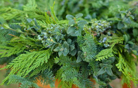 Mixed fresh greenery in bulk