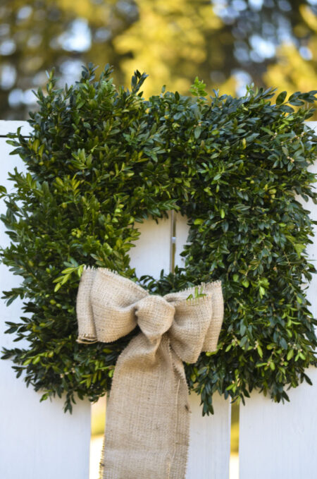 Fresh square premium boxwood wreath